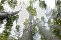 风雨中（3）