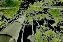 《天天向上》（2）