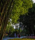 休闲