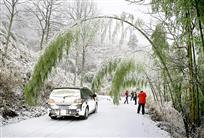 雪之韵竹之韵
