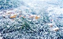 竹乡雪后