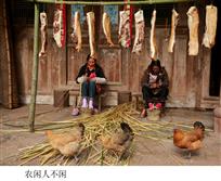 农闲人不闲