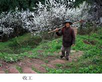 收工
