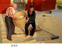 老来伴