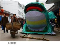 驻足观蛴蟆灯
