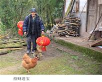 招财进宝