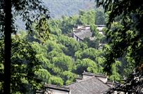 《隐居》
