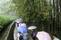 《雨洒潇湘》