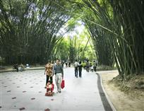 赏竹