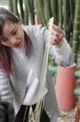 青絲飘飘