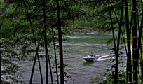 竹林戏水