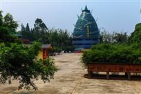 春笋参天