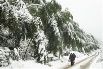 瑞雪丰年