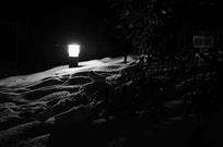 雪夜竹影