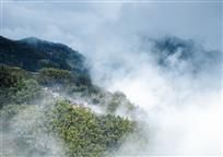 云漫山村