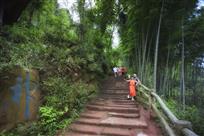 竹林古道
