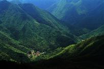 竹海人家