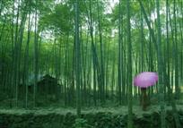 《竹林系列》之一