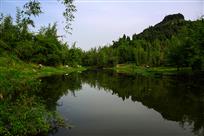溪水清清竹叶翠