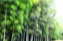 竹韵