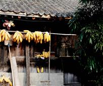 小院