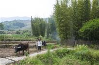 收工路上