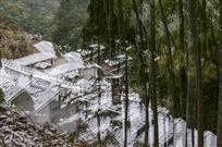 竹乡雪韵
