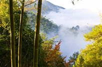 竹山云海