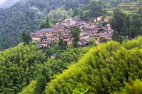 《竹海山村》