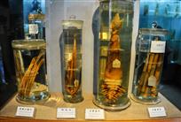 《竹乡竹品》