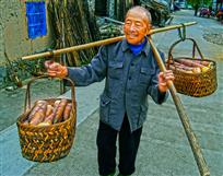 采笋归来