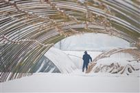 大棚除雪