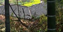 宅