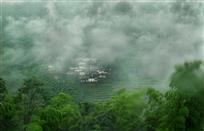 烟雨翠竹徽居