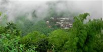 烟雨竹海人家