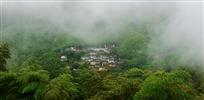 竹海人家
