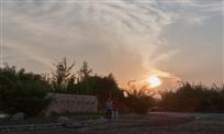 夕阳下的竹林湿地