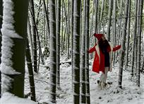 《竹林小雪》