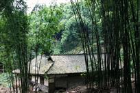 家在竹林中