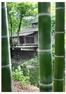 竹林老屋