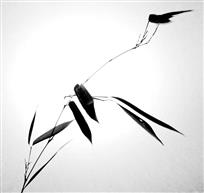 栖竹