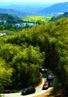 大山来客