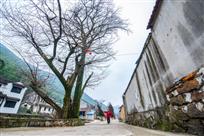 竹海山村