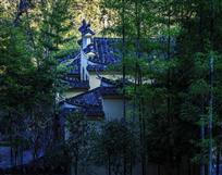 居有竹