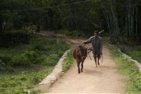 路上