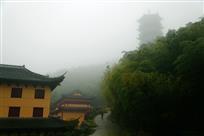 禅院竹径