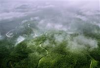 云涌竹海