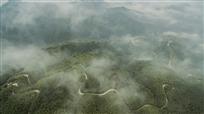 逶迤竹海龙蛇路