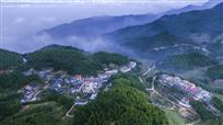 山村秀色