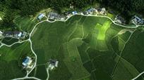 绿意山乡
